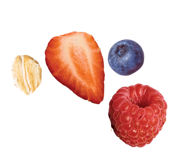 SHOP ALL – JUNKLESS FOODS