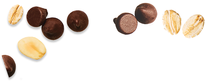 Assorted oats, chocolate and peanuts on a white background