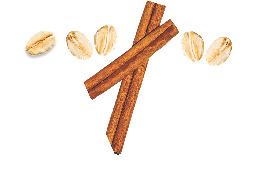 Two cinnamon sticks with four whole oats on a white background