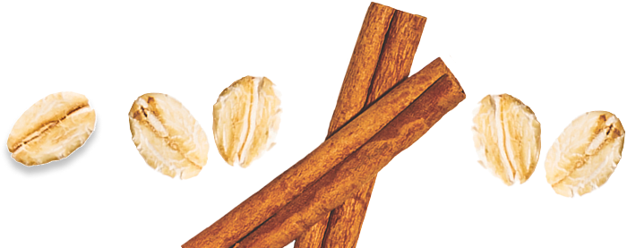 Cinnamon sticks and oats on a white background