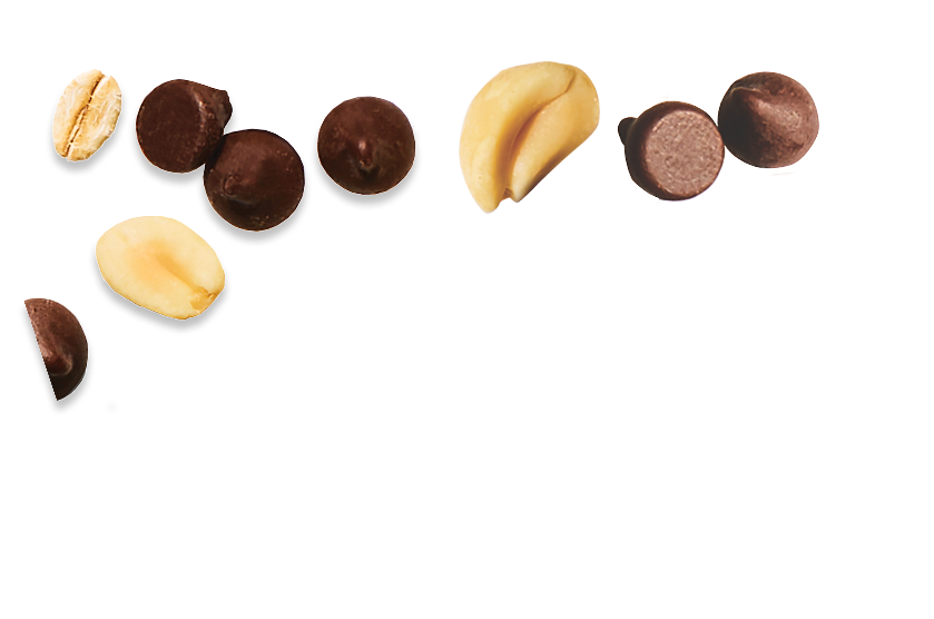 Assorted oats, chocolate and peanuts on a white background