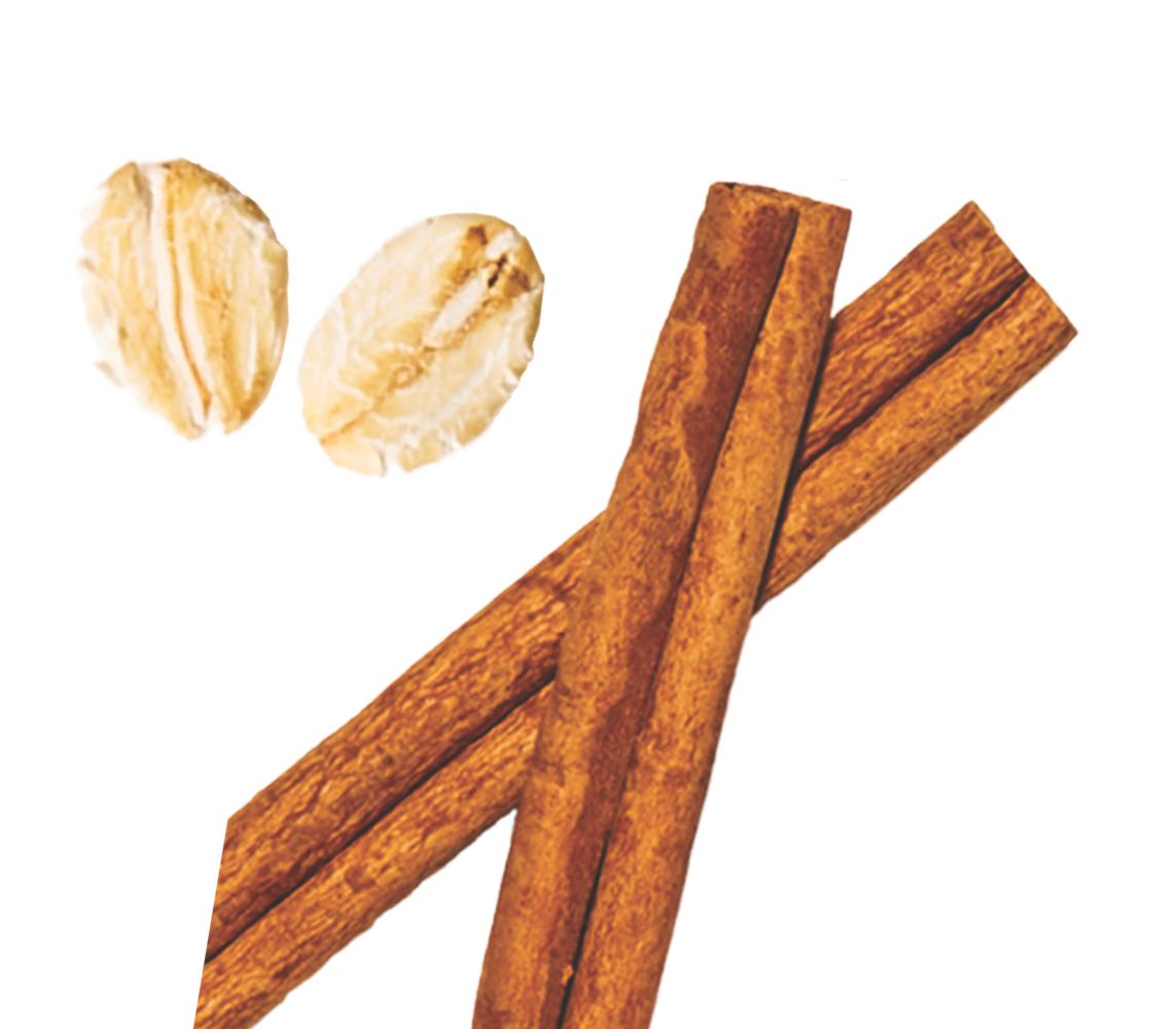 Two cinnamon sticks and two whole oats on a white background